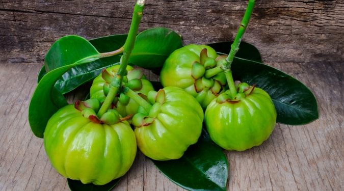 4 fantásticos benefícios de Garcinia Cambogia para saúde