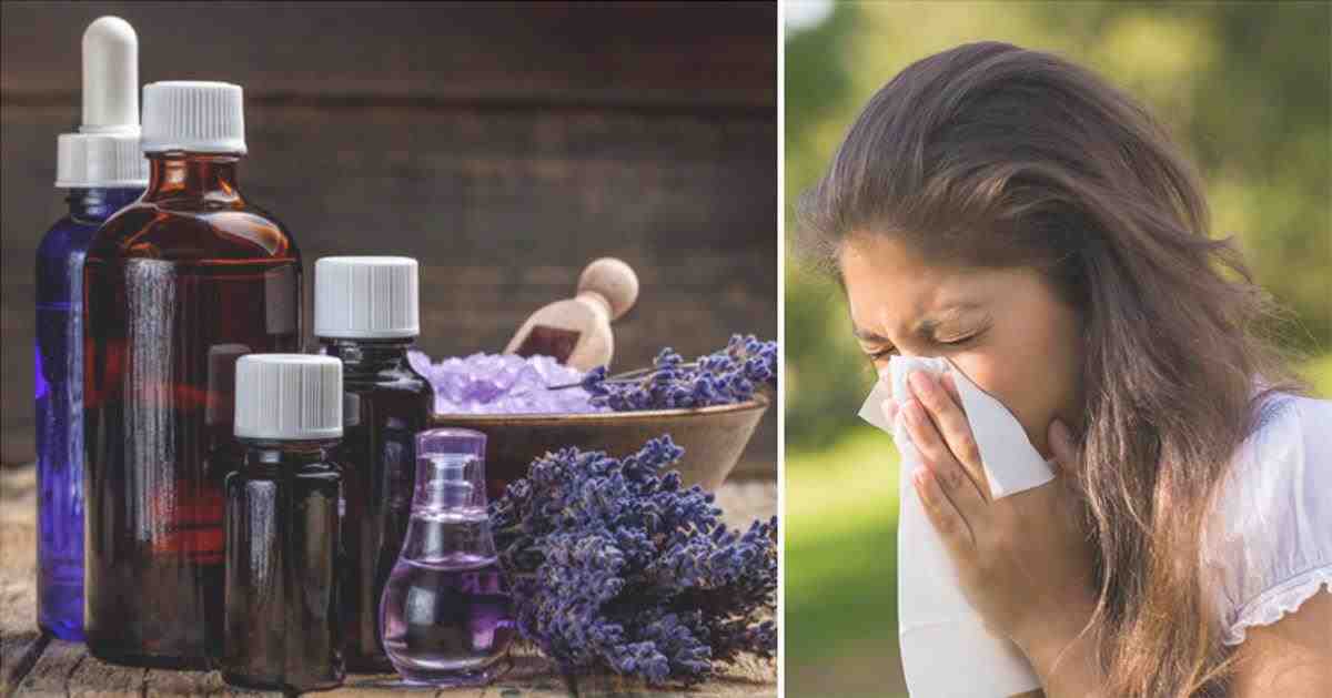 5 óleos essenciais que podem parar as alergias para sempre