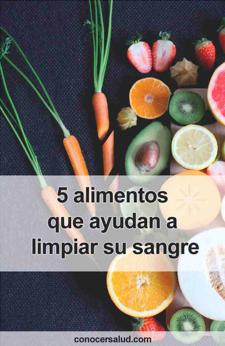 5 alimentos que ajudam a limpar o seu sangue 5 alimentos que ajudam a limpar o seu sangue