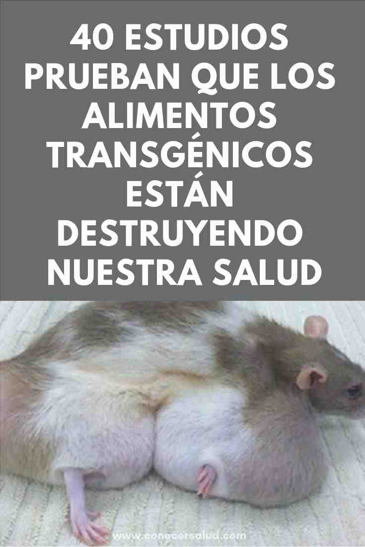 40 estudos diferentes provam que os alimentos transgênicos estão destruindo a nossa saúde
