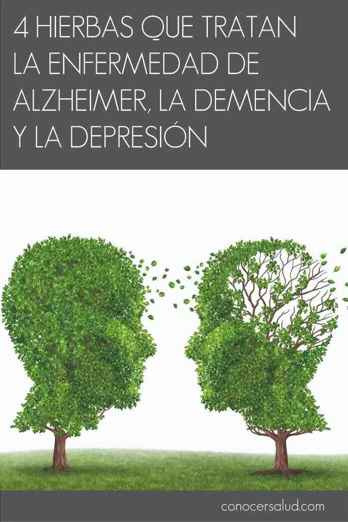 4 ervas que tratam a doença de Alzheimer, a demência e a depressão